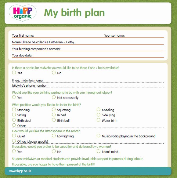 Birth Plan Template Word Document Luxury Free 10 Birth Plan Templates In Free Samples Examples