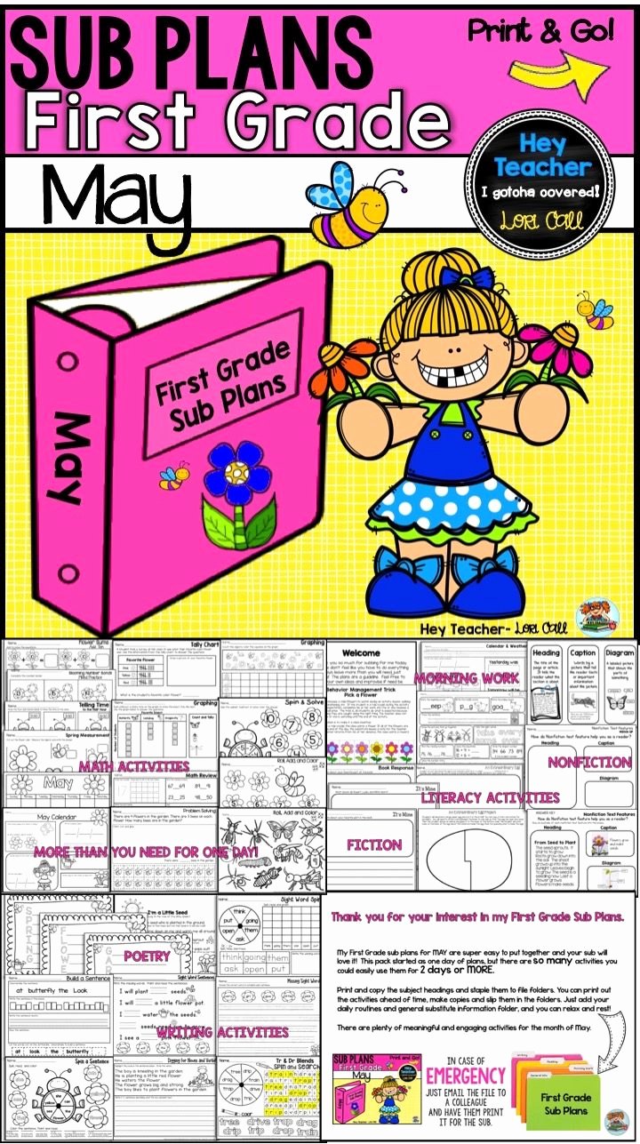 Go Math Lesson Plan Template Luxury First Grade Sub Plans May Spring