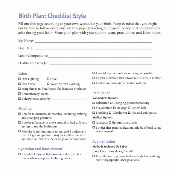 Sample Birth Plan Template Best Of Free 23 Sample Birth Plan Templates In Pdf Word