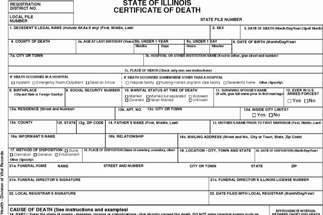 Death Certificate Template Word Lovely Certificate Template